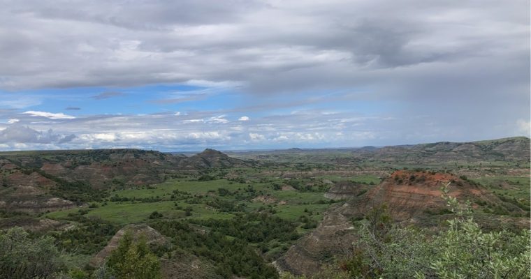 Theodore Roosevelt National Park, ND