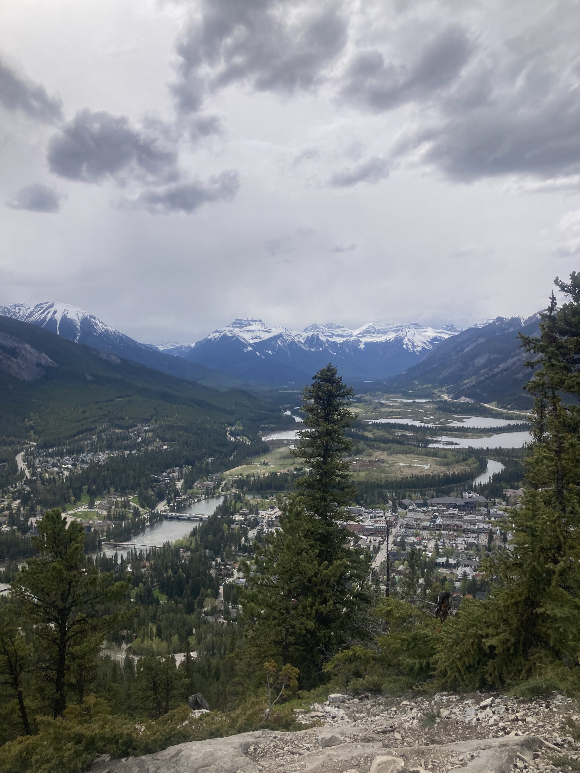 Glacier National Park to Yellowstone