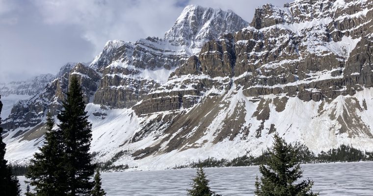 Columbia Icefields