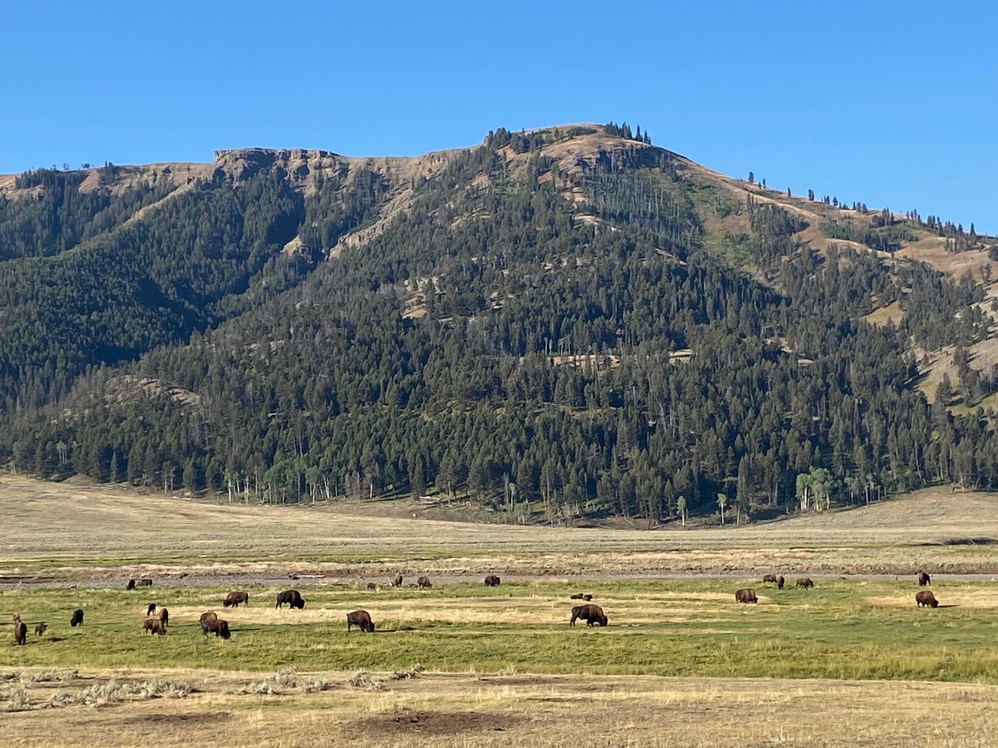 Yellowstone